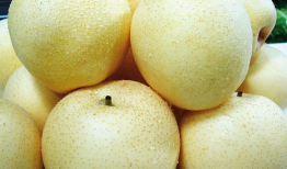 120斤小王同学爆料吃瓜,揭秘娱乐圈吃瓜大事件